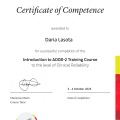 Powiększ obraz: certificate 1
