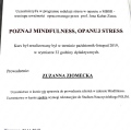 Powiększ obraz: certificate 7