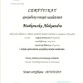 Powiększ obraz: certificate 1