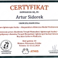 Powiększ obraz: certificate 9