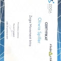 Powiększ obraz: certificate 8