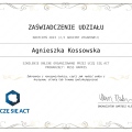 Powiększ obraz: certificate 9
