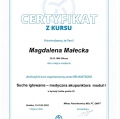 Powiększ obraz: certificate 13
