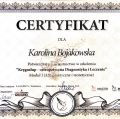 Powiększ obraz: certificate 8