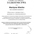 Powiększ obraz: certificate 23