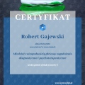 Powiększ obraz: certificate 6