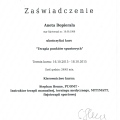 Powiększ obraz: certificate 22