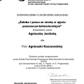 Powiększ obraz: certificate 19