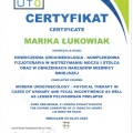 Powiększ obraz: certificate 9