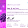 Powiększ obraz: certificate 3