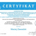 Powiększ obraz: certificate 7