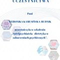 Powiększ obraz: certificate 19