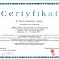 Powiększ obraz: certificate 6