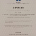 Powiększ obraz: certificate 7