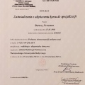 Powiększ obraz: certificate 4