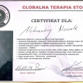 Powiększ obraz: certificate 8