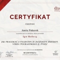 Powiększ obraz: certificate 7