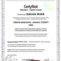 Powiększ obraz: certificate 29