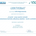 Powiększ obraz: certificate 10
