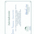 Powiększ obraz: certificate 7