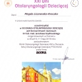 Powiększ obraz: certificate 11