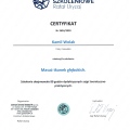 Powiększ obraz: certificate 2