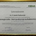 Powiększ obraz: certificate 20