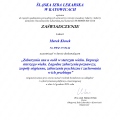 Powiększ obraz: certificate 17
