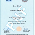Powiększ obraz: certificate 23