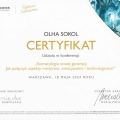 Powiększ obraz: certificate 3
