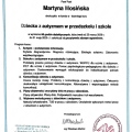 Powiększ obraz: certificate 14