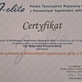 Powiększ obraz: certificate 45