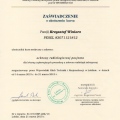 Powiększ obraz: certificate 28