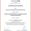 Powiększ obraz: certificate 2