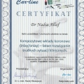 Powiększ obraz: certificate 4