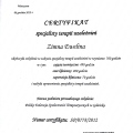 Powiększ obraz: certificate 2
