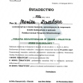 Powiększ obraz: certificate 7