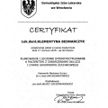 Powiększ obraz: certificate 6