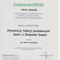 Powiększ obraz: certificate 45