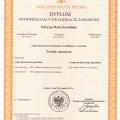 Powiększ obraz: certificate 3