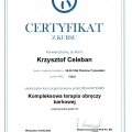 Powiększ obraz: certificate 4