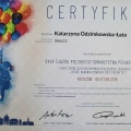 Powiększ obraz: certificate 10