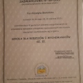 Powiększ obraz: certificate 4