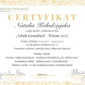 Powiększ obraz: certificate 8