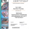 Powiększ obraz: certificate 13