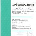 Powiększ obraz: certificate 3