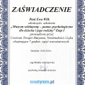 Powiększ obraz: certificate 1