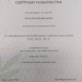 Powiększ obraz: certificate 2