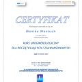 Powiększ obraz: certificate 3