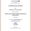 Powiększ obraz: certificate 8